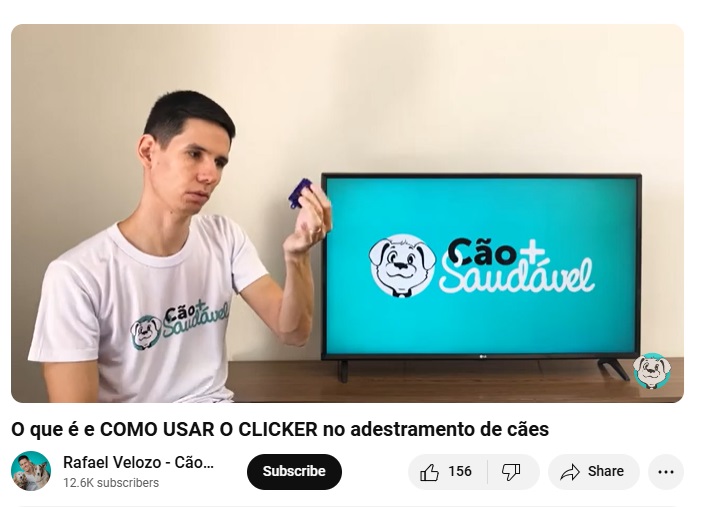 TREINAMENTO DE CÃO