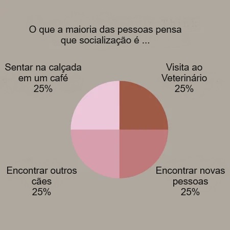 SOCIALIZAÇÃO DO FILHOTE