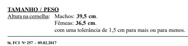 PADRÃO FCI TRADUZIDO