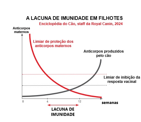 VACINAS PARA CÃES