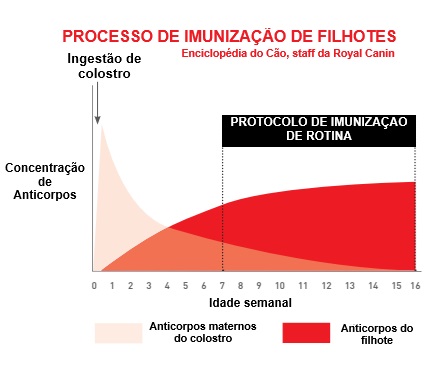 vacinas para cães